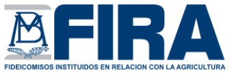 FIRA